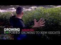 Growing Exposed - Episode 2 - Growing To New Heights - GARDEN TOUR