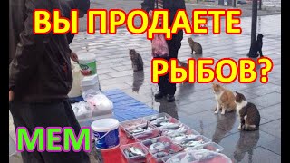 Вы продаете рыбов мем. Вы продаете рыбов нет показываю. Откуда мем?