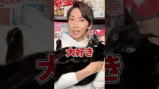 Q：なんで猫はちゅ～るが大好きなの？