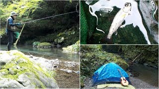 秋の渓流ソロキャンプ！！ヤマメ舞う奥多摩･大丹波川の夜を満喫【前編】