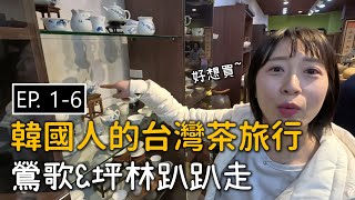 EP.1-6ㅣ鶯歌買陶瓷茶具\u0026坪林茶葉博物館ㅣ泡菜郭導帶你玩 \u0026 FODAM TEA HOUSE