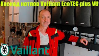 Котельная Vaillant  160квт. Тепломеханическая часть.