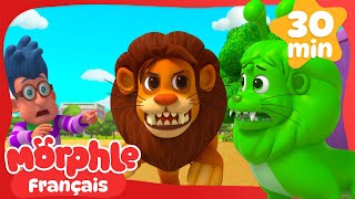 Le vrai lion et le lion vert | Morphle en Français | Dessins Animés Pour Enfants