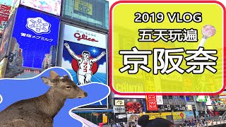 ｜ Osaka Kyoto Vlog 2019｜ 大阪京都 五天四夜自由行 ｜奈良｜心齋橋｜伏見稻荷｜