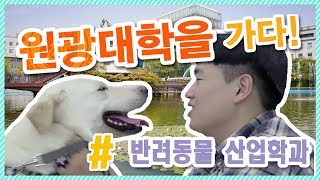 원광대학을 가다 _ 반려동물 산업학과