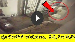 greatest jail escapes ಪೊಲೀಸರಿಗೆ ಚಳ್ಳೆಹಣ್ಣು ತಿನ್ನಿಸಿದ ಕೈದಿ