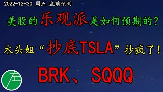 美股的乐观派是如何预期的？木头姐“抄底TSLA”抄疯了！BRK、SQQQ跟进。SP500、NAS100、黄金、原油、SOXL、CHPT、SHOP、TSLA、ARKK、BRK、SQQQ