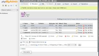 Setting up your first database and table on Bytehost using PDO and PHP