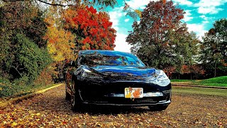 Watch Tesla Drive Itself⚡️11.4.7.3 Real World Artificial Intelligence 🍂 Dangerous Roads 😳