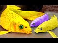 Yellow Fish Stop Motion Cooking ASMR - Mukbang Catfish, KOI Colorful Funny Shorts Story in Mud!