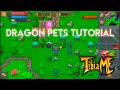 TibiaME - How To Get EVERY Dragon Pet | Dragon Rutting