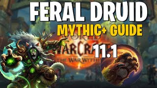 Feral Druid Guide for m+ 11.1- TWW S2 !!!