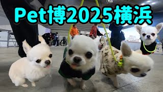 【Pet博2025横浜】に行ってきました★