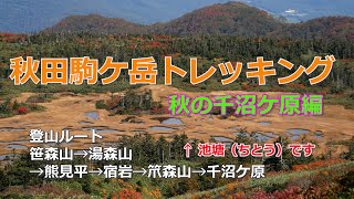 秋田駒ヶ岳登山　\