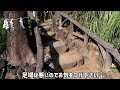 【鳩森八幡神社】千駄ヶ谷の富士塚