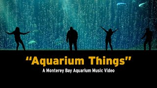 “Aquarium Things” — A Monterey Bay Aquarium Music Video