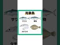 ダイソーリアルプリントジグ‼️ 釣り 海釣り 魚釣り 釣り初心者 釣り好きな人と繋がりたい ルアーフィッシング ルアー釣り 釣り好き ダイソールアー ダイソー釣具 voicevox 春日部つむぎ