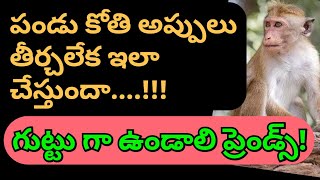 పండుకోతి దారుణం 🔥🔥 అప్పులు తీర్చలేక ఇలా 🔥గుట్టుగా ఉండాలి ప్రెండ్స్