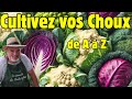 Comment réussir la culture des choux dans votre potager, même en hiver ?