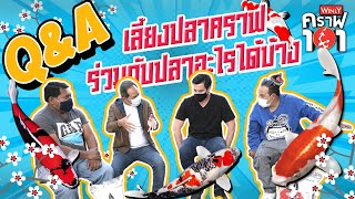 108 ปัญหา ถามมา-ตอบได้ - วิลลี่คราฟ 101 [ Q\u0026A Part1 ]