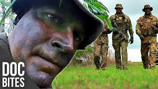 The King of Camouflage | Did You Know? | Doc Bites