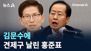 김문수에 견제구 날린 홍준표 / 채널A / 뉴스A