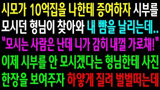 (반전사연)시모가 10억집을 나한테 증여하자 시부를 모시던 형님이 찾아와 내 뺨을 날리는데..형님한테 사진을 보여주자 하얗게 질려 벌벌떠는데[신청사연][사이다썰][사연라디오]