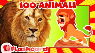 I Miei Primi 100 Animali 🎴 FLASHCARD + VIDEO di Animali Nella Vita Reale 🐘🦁🐍 Video Educativo