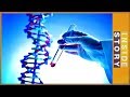 Can human genome editing be regulated? | Inside Story