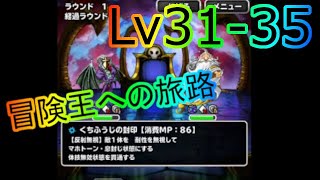 【dqmsl】呪文？口封じしてやる！そう思ってた時期が私にもありました 冒険王への旅路 Lv31-35