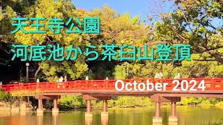 天王寺公園 河底池から茶臼山登頂 October 2024