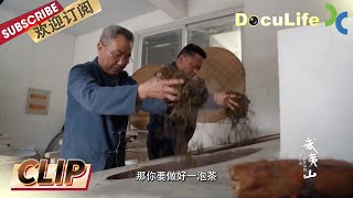 做茶叶用烟熏 这是独属于正山小种红茶的制作技艺《武夷山·我们的国家公园》第三集【DocuLife-SMG纪实人文官方频道】