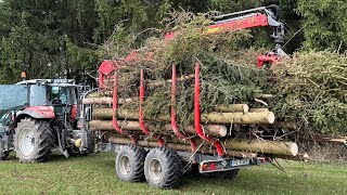 Borkenkäfer Holzrücken mit Steyr Kompakt und Krpan Rückewagen