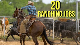 20 Jobs You Can Get On A Ranch