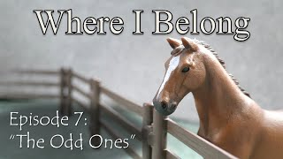 Where I Belong | Episode 7 | Ochre Stables Schleich Horse Series