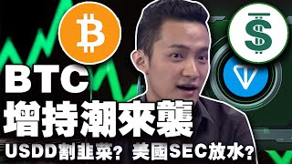 比特币增持潮来袭；美国SEC要对加密放水？Telegram 去中心化理念打折扣？Tether 破局阿联酋；捷克比特币免税新政 20250207