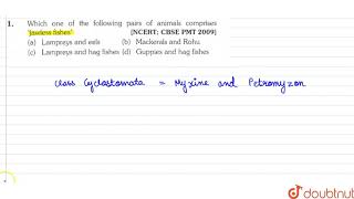 Which one of the following pairs of animals comprises Jawless fishes  | 11 | ANIMAL KINGDOM | BI...