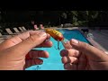 cheap vs expensive wiggle wart style baits underwater testing