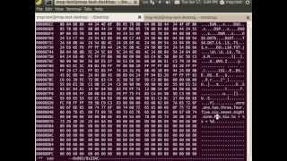 Using hexedit to edit elf file