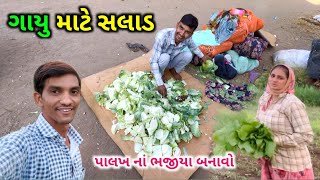 મોટો સલાડ || Life at Botad Village Vlogs