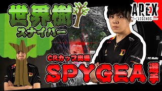 【APEX】CRカップに向けて仕上げていくスパイギア