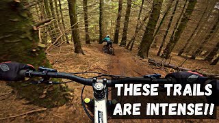 A MUST RIDE | Pitmedden MTB trails | Scotland