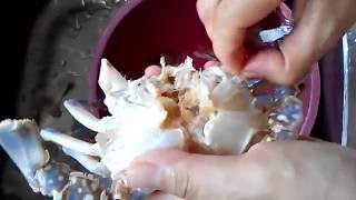 How to clean and cut flower crab