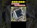 真實版小熊維尼 台灣黑熊現蹤寶來山區偷吃蜂蜜 shorts｜tvbs新聞 @tvbsnews01