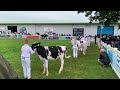 Judging In The Ring On Friday (Day Two) Of The Royal Highland Show 2023