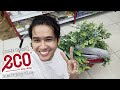 ECOSHOP SHOPPING VLOG || BARANG² HOME DECOR UNTUK HOUSE TOUR !!!