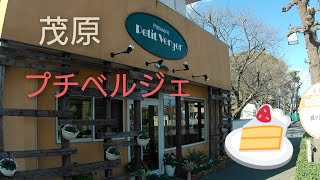 【茂原 ケーキ】美味しいケーキ頂きました🍰 「プチ ベルジェ」リピート間違いなし👍