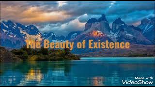 The Beauty of Existence by Muhammad Al-Muqit