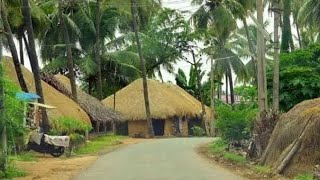 Beautiful East Godavari village's - పల్లెటూరీ అందాలు ll Dulla to Mandapeta ll