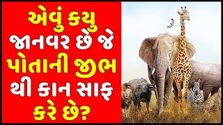 એવું કયુ જાનવર છે જે પોતાની જીભ થી કાન સાફ કરે છે? Gujarati Ukhana with Answer | ઉખાણા